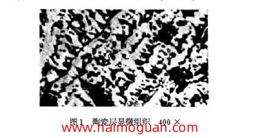 图1 　陶瓷层显微组织　400 ×